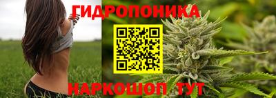 прущие крисы Абакан