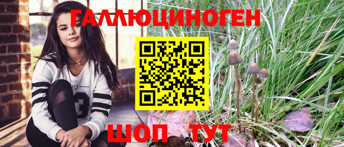 Галлюциногенные грибы Psilocybine cubensis Алексеевка