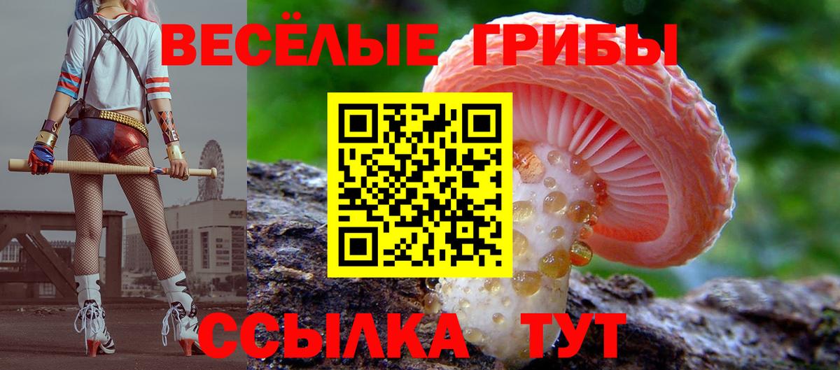 Псилоцибиновые грибы MAGIC MUSHROOMS  Вход с VPN  Галлюциногенные грибы Cubensis  Алексеевка 
